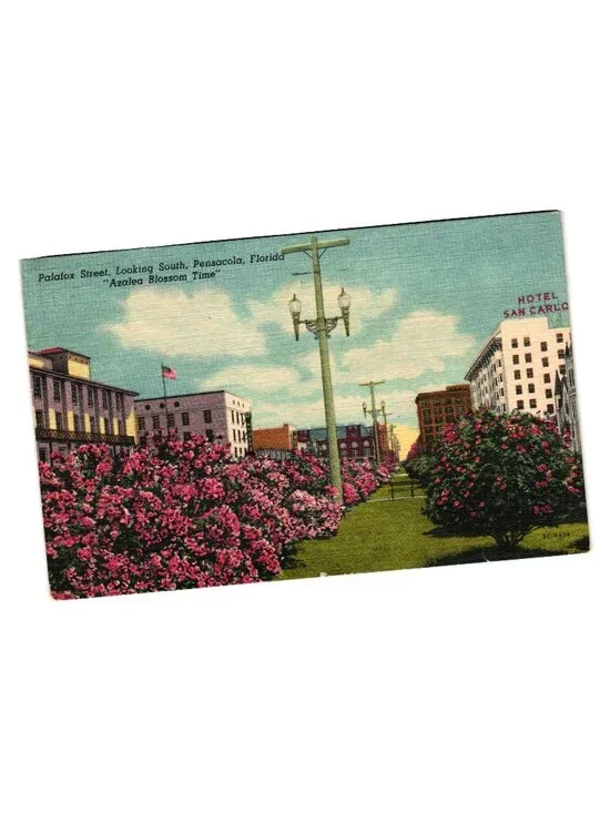 Palafox Street Postcard Pensacola Florida Azalea Blossom Time Scene Vintage Used