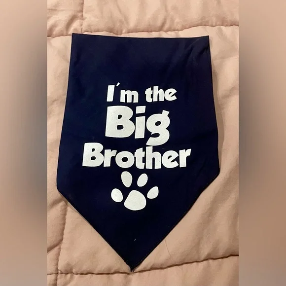 Set of big brother bandanas for pet dog