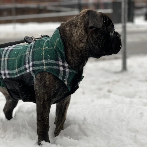Reversible Dog Jacket Black & Green insulated size small