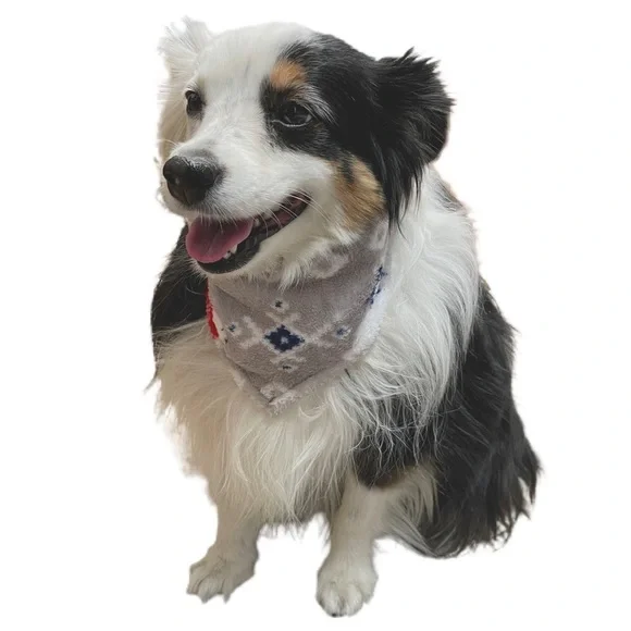 Family Matching Polar Bear Pet Bandana NWT!