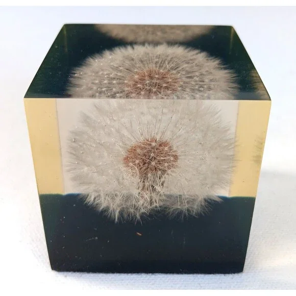 Vintage Dandelion Lucite Resin Cube Paperweight  Shoreline 2 3/8