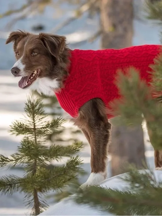 NWT-Large Dog Red cable knit sweater Soft, warm and comfortable