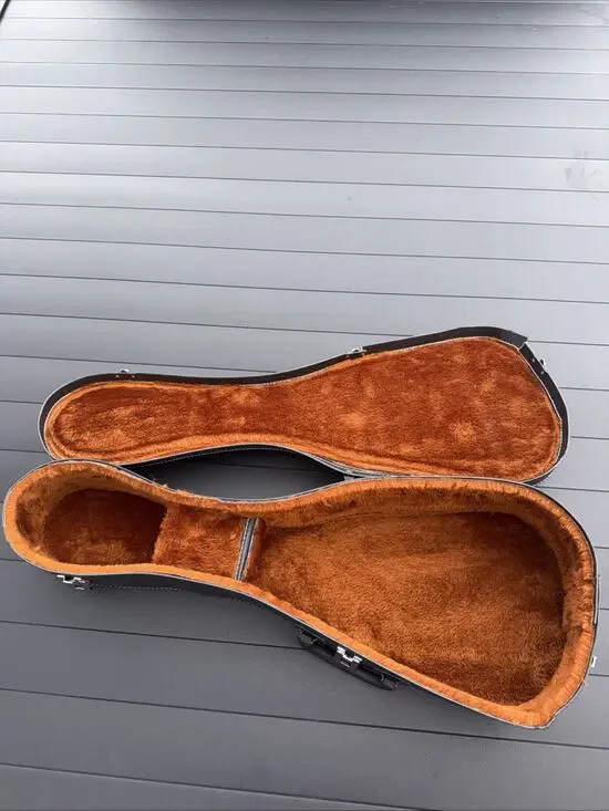 Vintage Worcester T&S Hard Shell Instrument Case Rust Plush Lined USA 29”