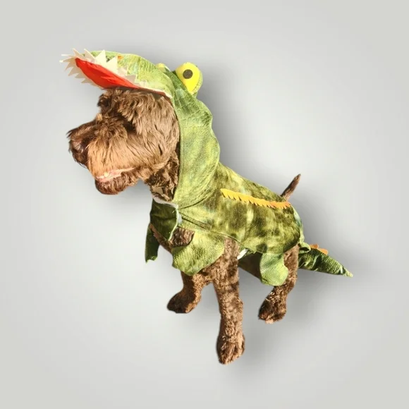 Petco dinosaur Alligator green dog costume size XL
