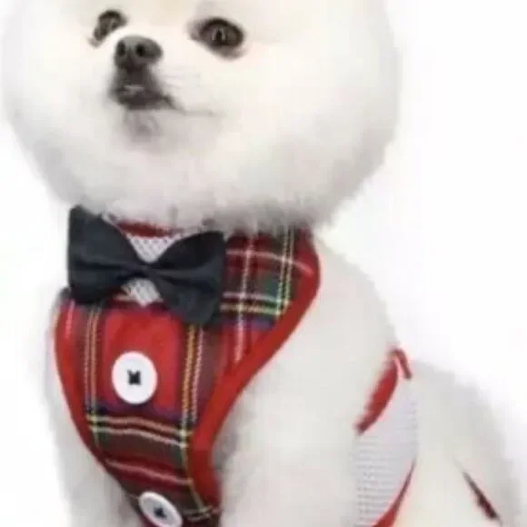 NWOT‎ Small Dog Cat Breathable Mesh Harness Vest Collar chest strap Leash set. L