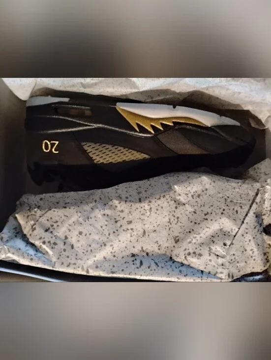 Jordan 5 Retro Low Wings Class Of 2020-21'