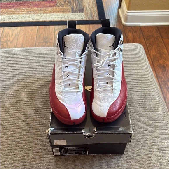Jordan 12 (2009) White and Cherry High-Top Sneakers