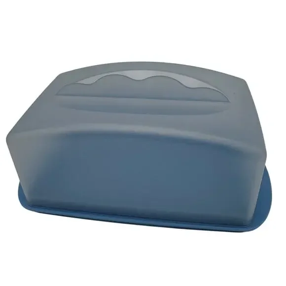 Tupperware Butter Cheese Buddy 3672A-2 REPS SAMPLE NOS