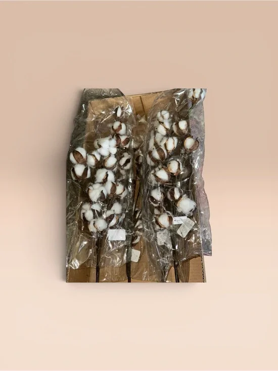 (4) new individually wrapped Natural Cotton Stem Accent Bundle - White