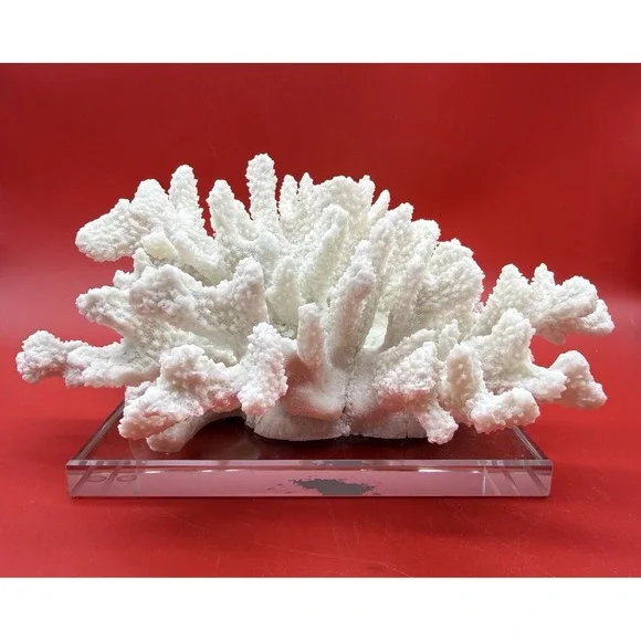 RARE Vintage Faux Large Heavy White Cauliflower Coral 10.5