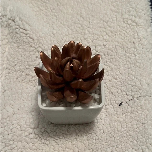 Copper Succulent Decorative Cactus Accent in White Planter