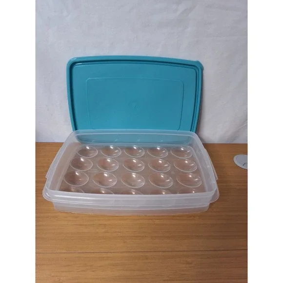 Vintage Rubbermaid Servin Saver Deviled Egg Keeper. Hold 20 Eggs. GVC!