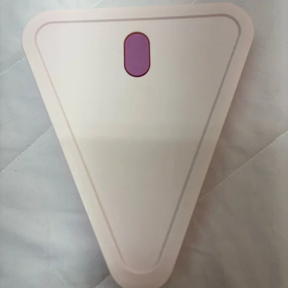 NWOT Triangular light pink and pink pizza storage Tupperware container
