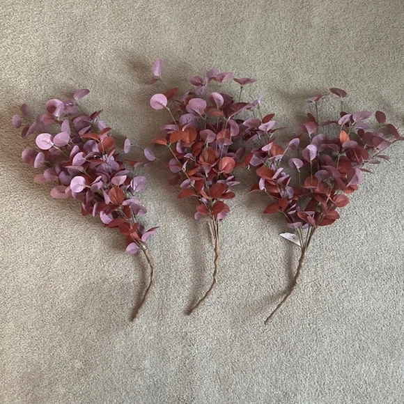 Ragoon House Rust/Burgundy Eucalyptus