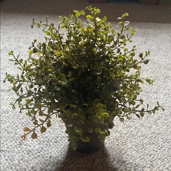 Artificial Eucalyptus Greenery Plant in Gray Pot