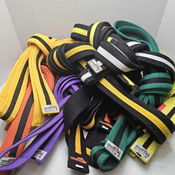 Karate Martial Arts TigerClaw Ranking Belts Lot of 10 Various Ranks Ju Jitsu MMA