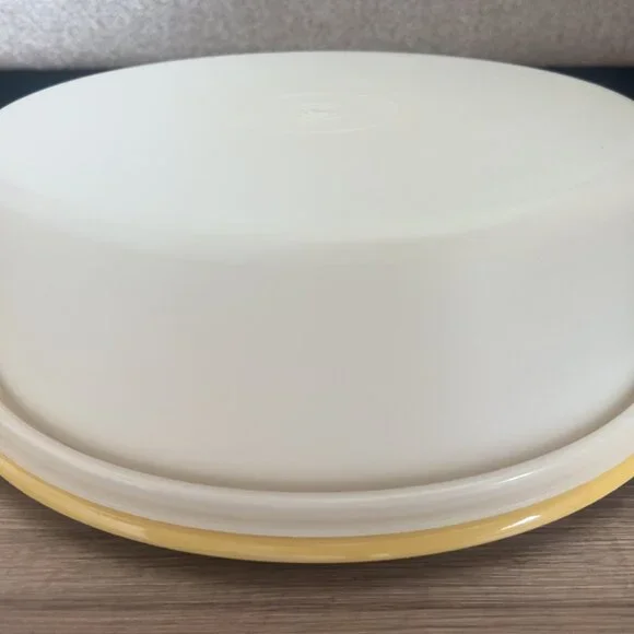 Vintage Tupperware cake container