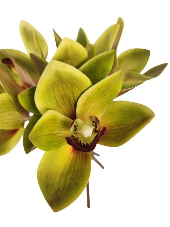 Green Cymbidium Orchid Artificial Flowers 6 Stem Bundle, Faux Orchid Wedding Flo
