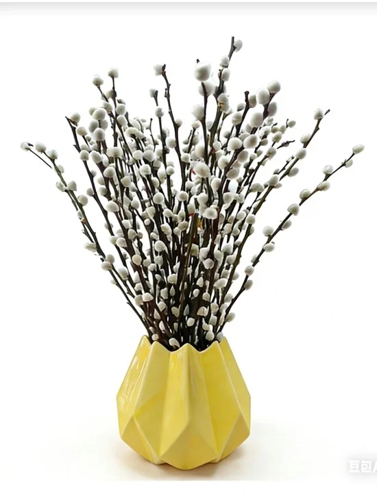Floral Decor 17.5” White Willow Stems 100% Genuine (60pcs)