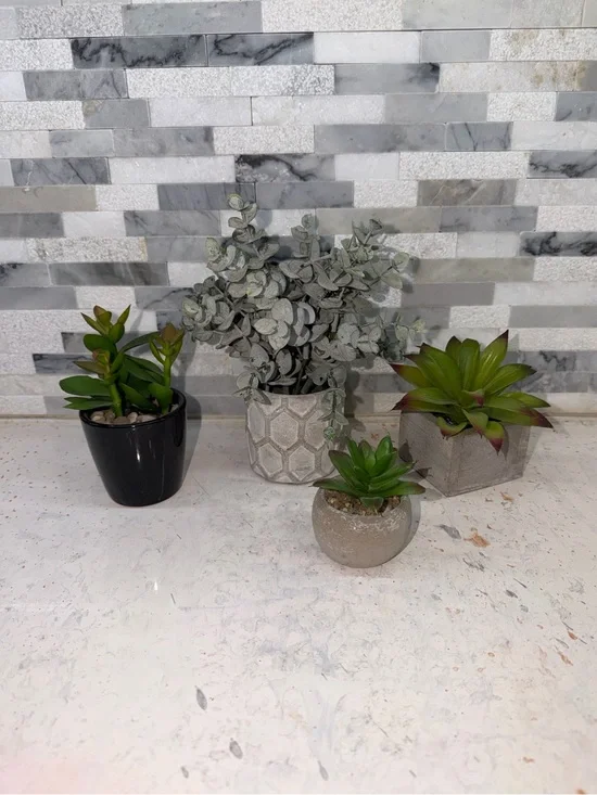 Modern Assorted Faux Succulent Planters Set of 4