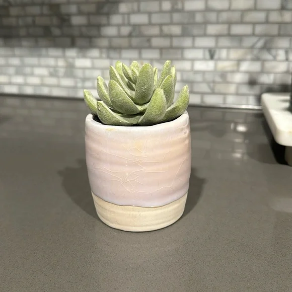 Threshold Tabletop Arrangement