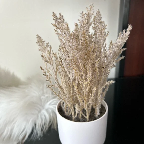 Natural Dried Grass in White Pot new