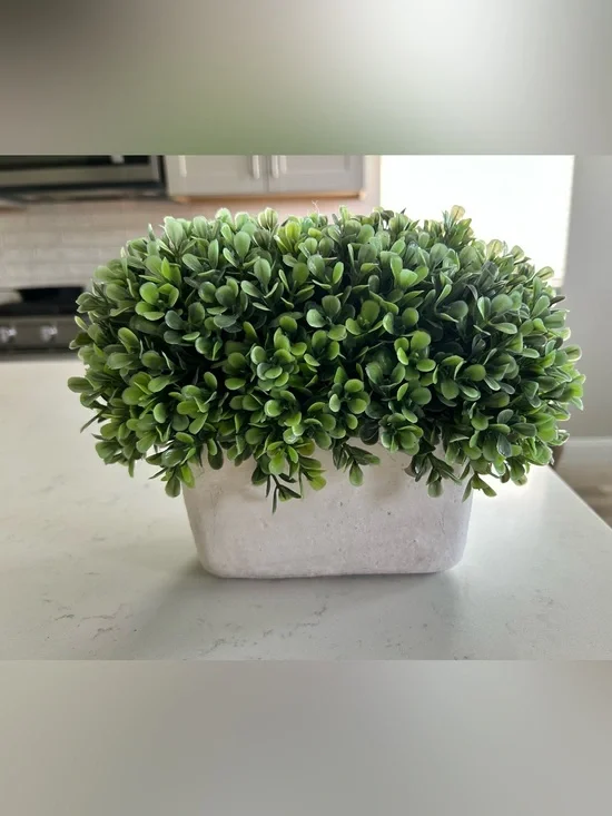 Faux boxwood plant in heavy planter
