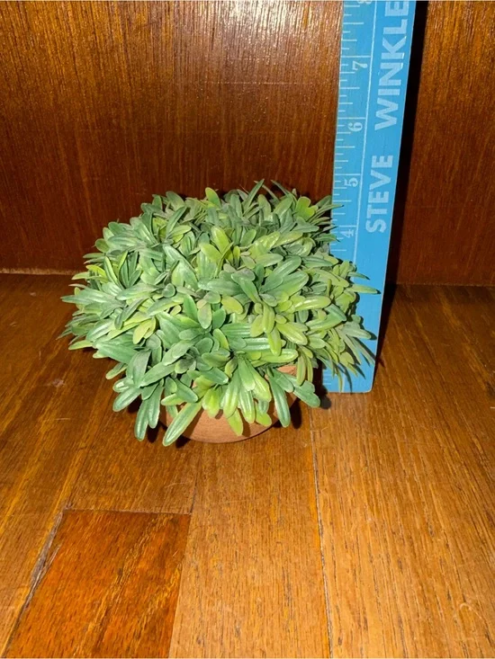 Artificial Green Succulent Plant in Terracotta Pot - Home Accents