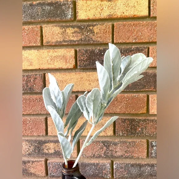 *Frosted Lamb’s Ear Spray, 26” One Spray