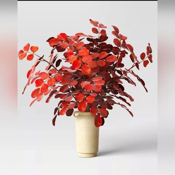 Threshold Large Red Leaf Potted Arrangement
