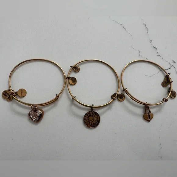 Alex & Ani Gold Charm Bracelet Set