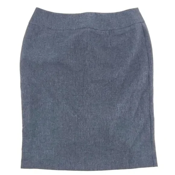 Executive Apparel Career Wear Skirt Size 6 Grey UltraLux Tailored Front 2304