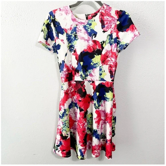 Milly for Design Nation fit and flare dress size 2