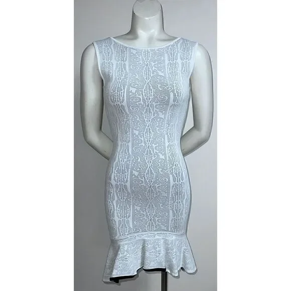 BCBG MAXAZRIA Faye Jacquard Dress ( Size XS) Self Contrast Lace Jacquard