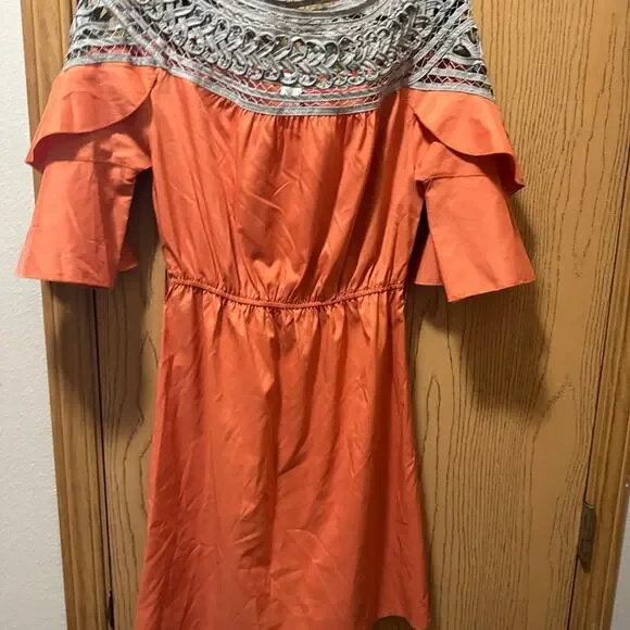 Esley dress with ruffled sleeves size small❤️