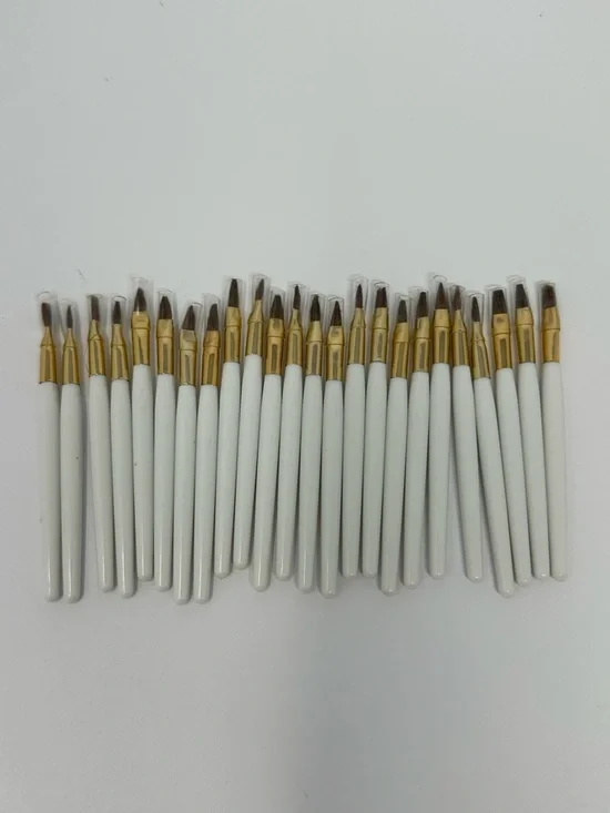 NEW!! Jane Iredale 24pc Disposable Lip Detail Brush A4