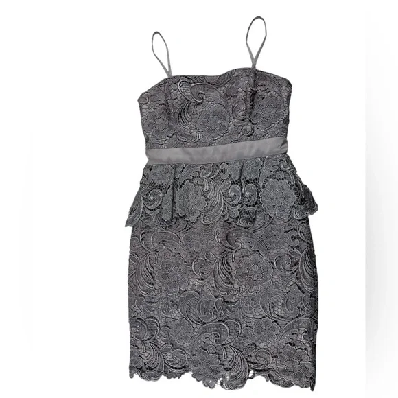 Adrianna Papell Gray Strapless Lace Lined Peplum Dress Size 4 Romantic Feminine