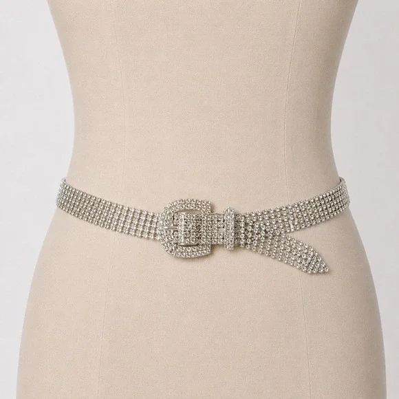 Vintage Rhinestone Crystal Wide Mesh Chain Belt Women One Size Silver Glam Y2K