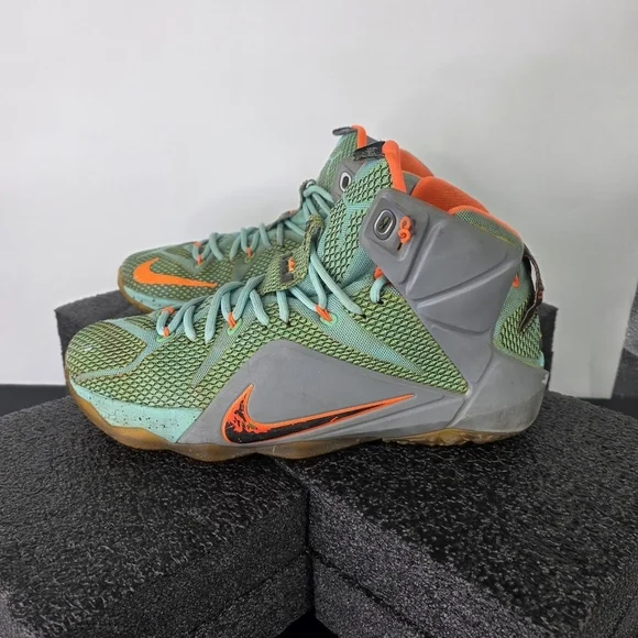 Nike Shoes LeBron 12 XII 