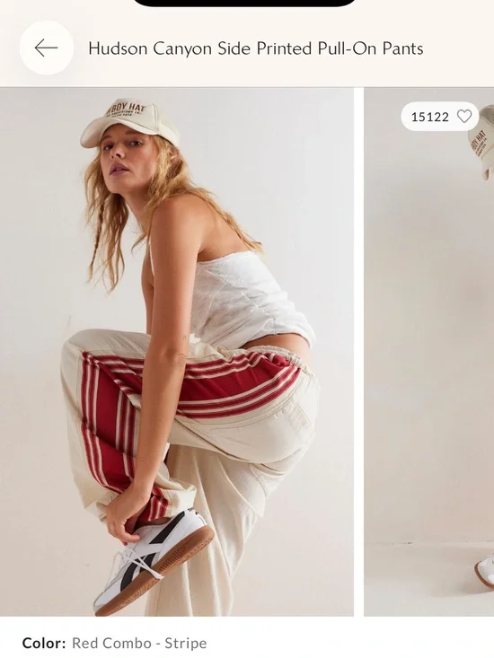 HUDSON FREE PEOPLE PANTS