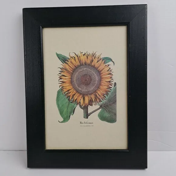 Flos Solismaior, Sunflower Floral Print