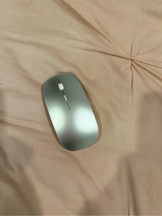 Sleek Silver Wireless Mouse