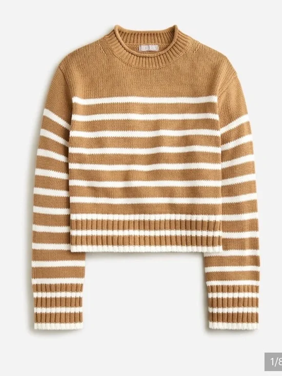 J.Crew Rollneck Sweater In Stripes