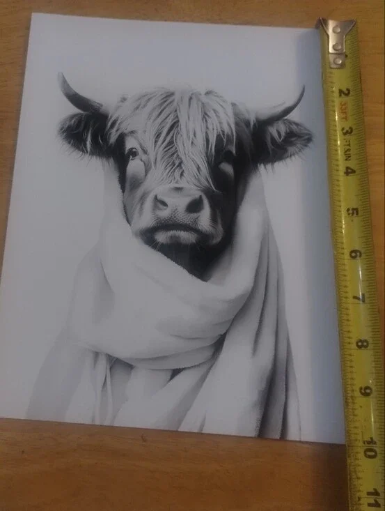 Highland Cow Cozy Blanket Wall Art Print Black White Farmhouse Decor 8x10
