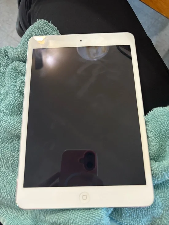 iPad Mini 2 Apple 16GB - Front Home Button