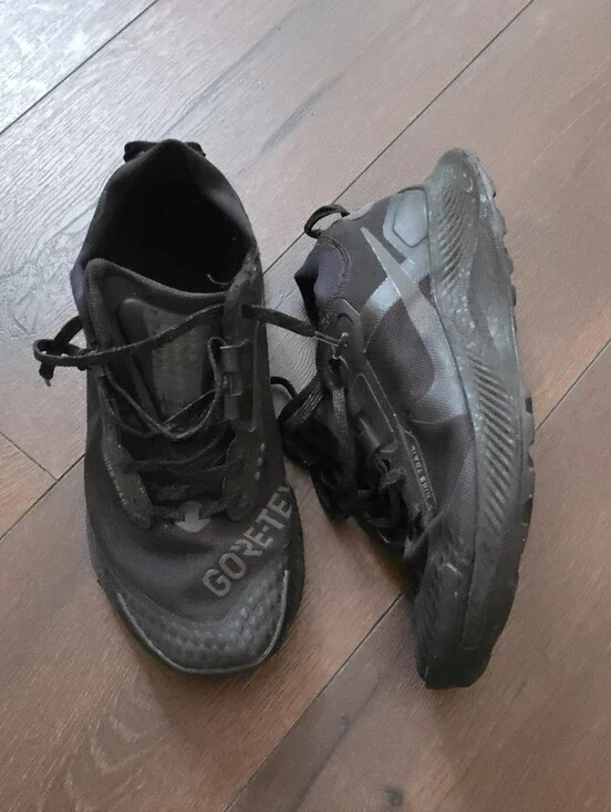 Nike Pegasus Trail 3 GORE-TEX running shoes