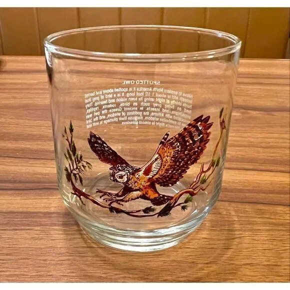 Vintage Sunoco North American Wildlife Glass Libbey Spotted Owl
