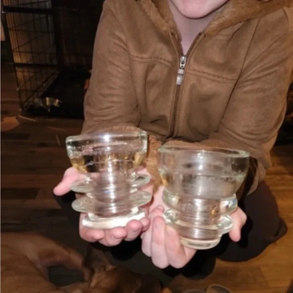 Clear Glass Dog Bowl Insert – Transparent