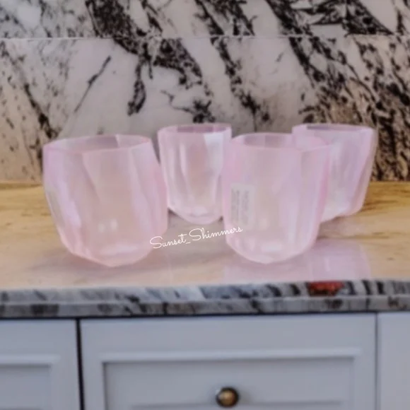 4pc RACHEL ZOE Frosted PINK ACRYLIC CRYSTAL TUMBLER Drink GLASS SET New