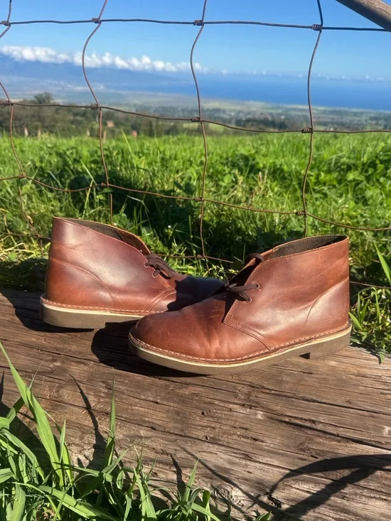 Clarks Bushacre 2 chukka boots dark brown leather size 9
